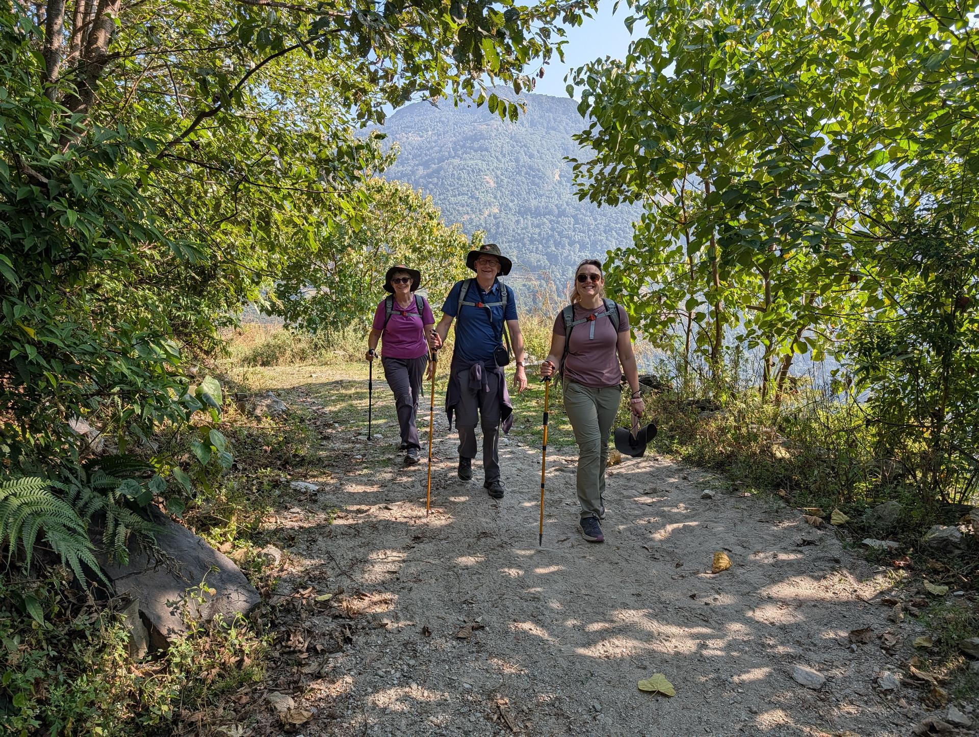 Three hikers walk along a shaded forest trail, using trekking poles, with a hazy mountain visible through the trees..